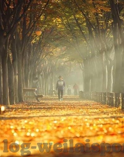 澳门赌场平台开户-澳门赌场平台开户，了解与注意事项
