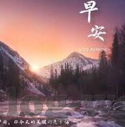 狗168足球比分-探秘狗168足球比分，足球数据背后的狂欢与理性思考